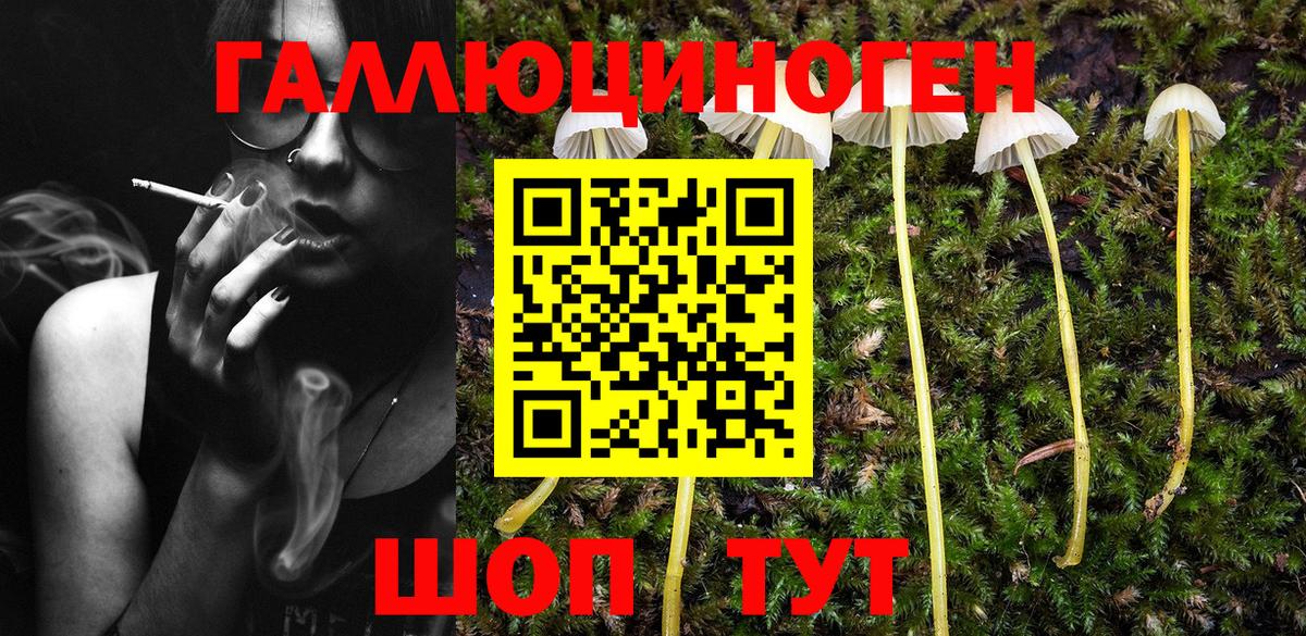 Галлюциногенные грибы Psilocybine cubensis  Вход с VPN  Иваново 